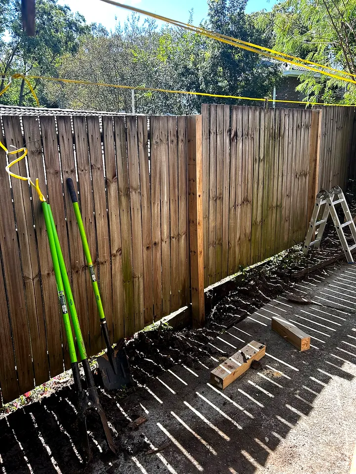 New timber paling fence